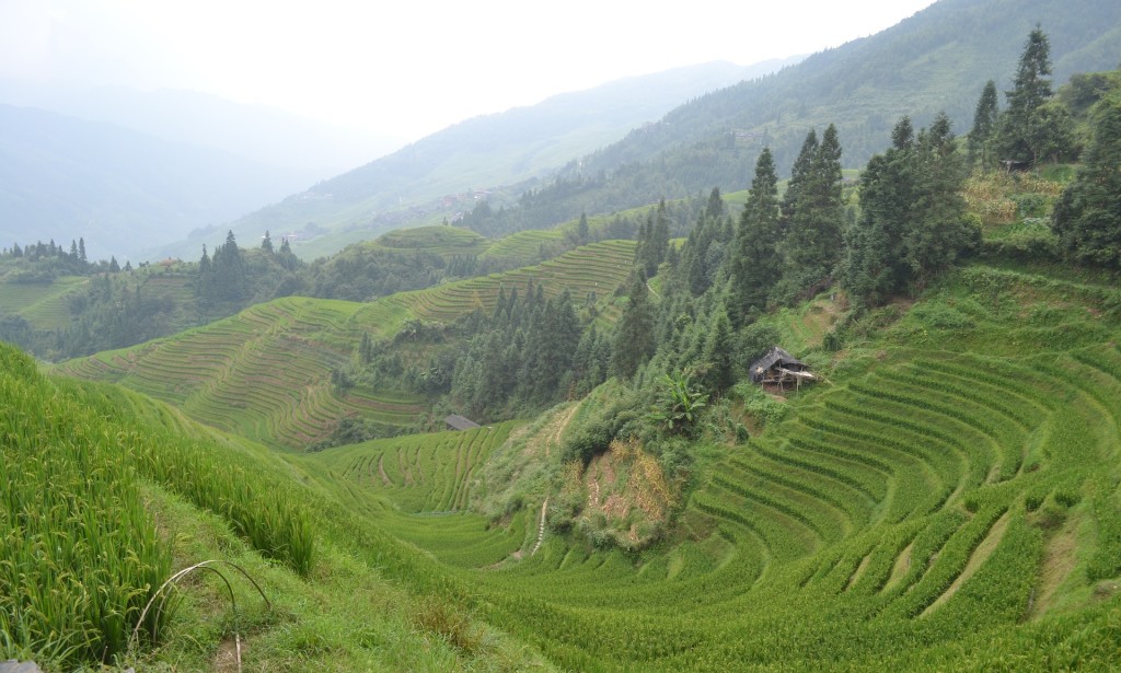 Modern China Lifestyle: Tradition, Innovation, and Well‑Being in Harmony