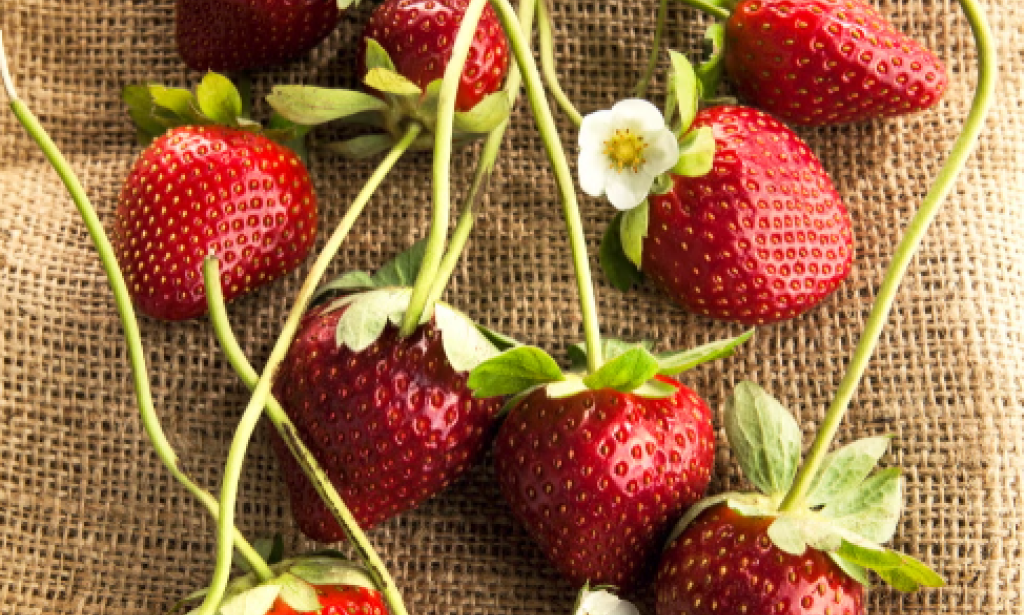 Strawberries: Nature’s Sweet Superfruit