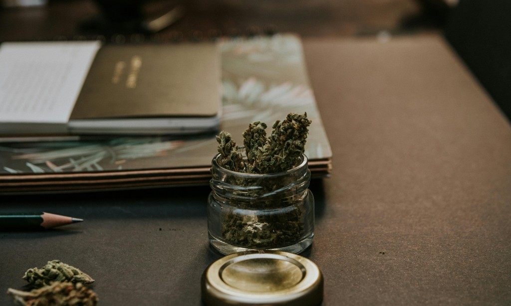 Why This Weed Is So Beneficial for Health: The Science-Backed Truth About Cannabis 🌿